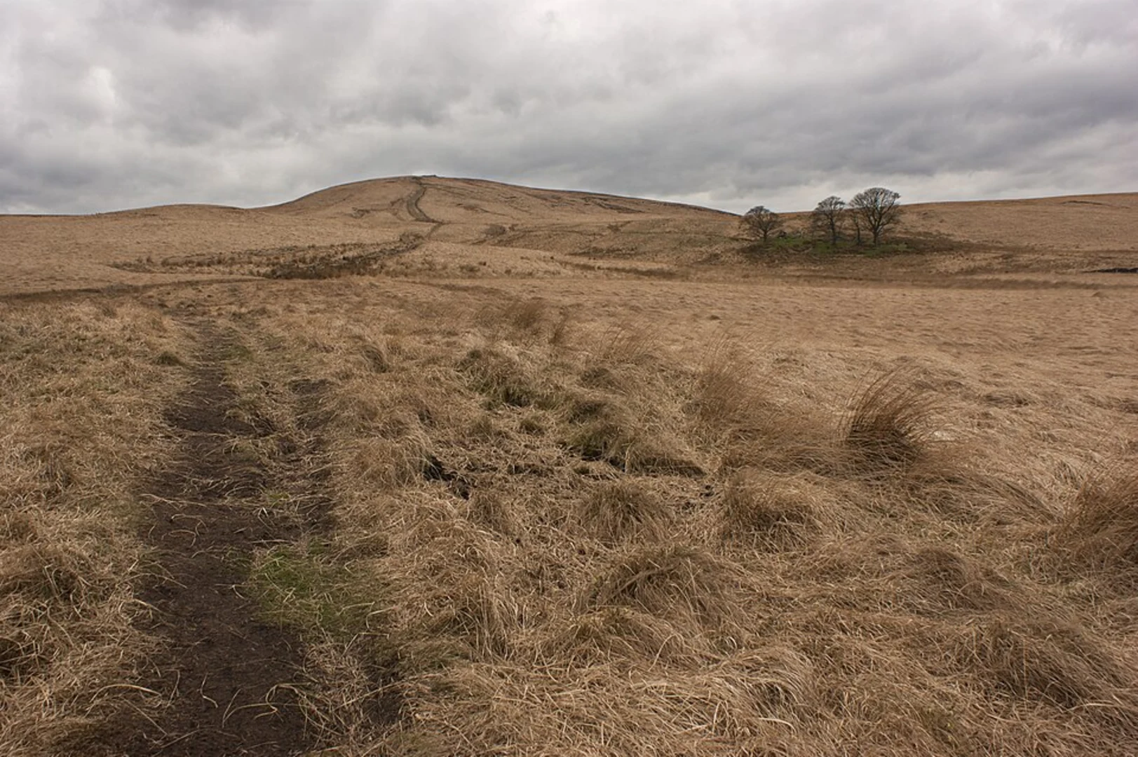 An image depicting the trail Belmont to Brinscall Walk via Great Hill and its surrounding area.