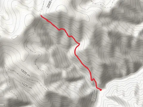 Ann Arbor Trail