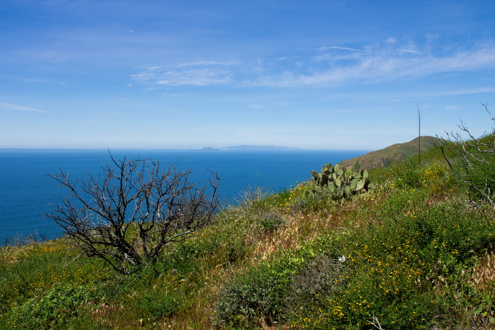 An image depicting the trail Serrano Canyon Trail and Sycamore Canyon Fire Road Loop and its surrounding area.