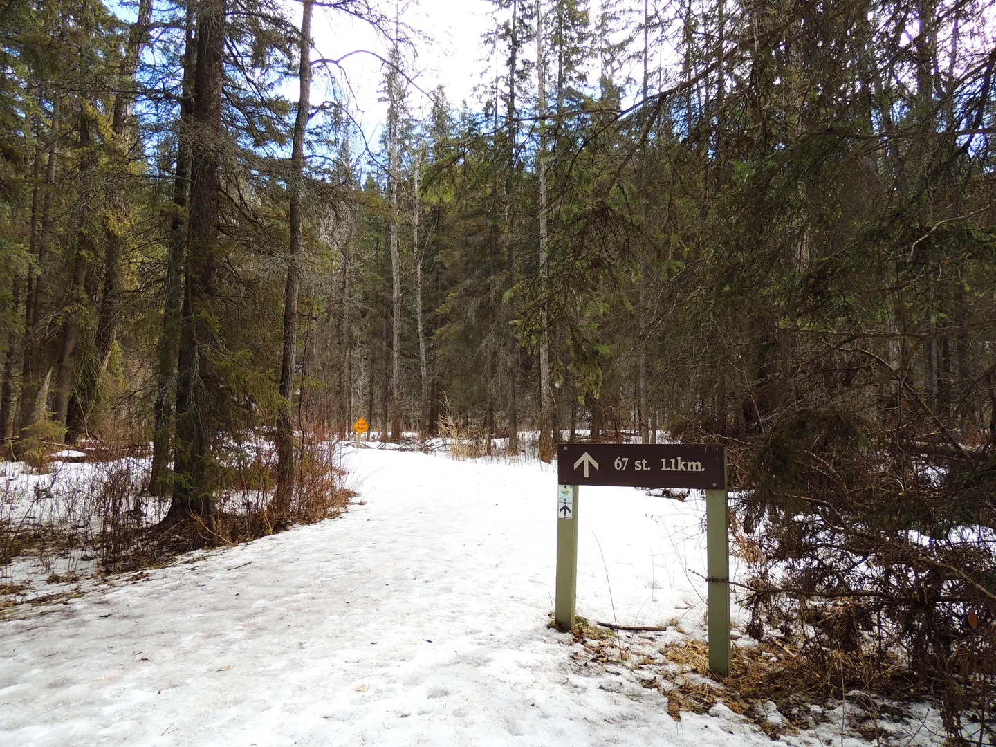 An image depicting the trail Mckenz Walk and its surrounding area.