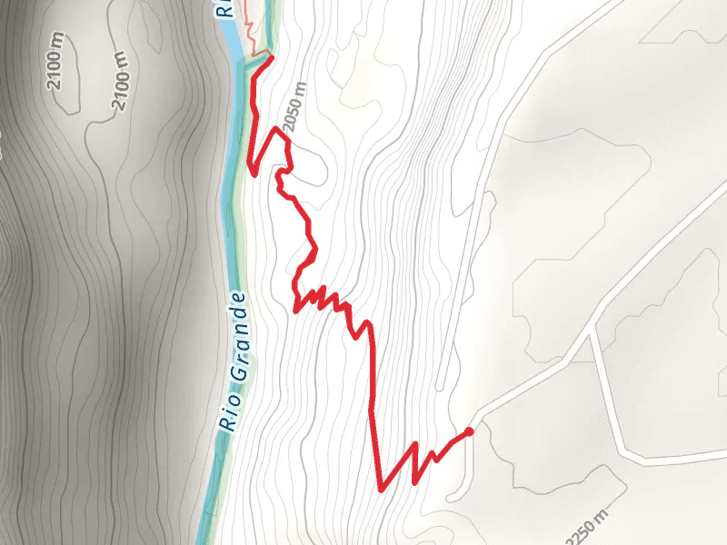 Wild Onion Trail
