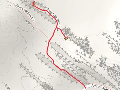 Pine Tree Arch Trail