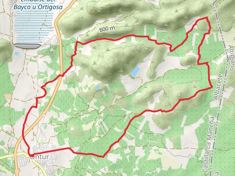 Path of the Cuckoos