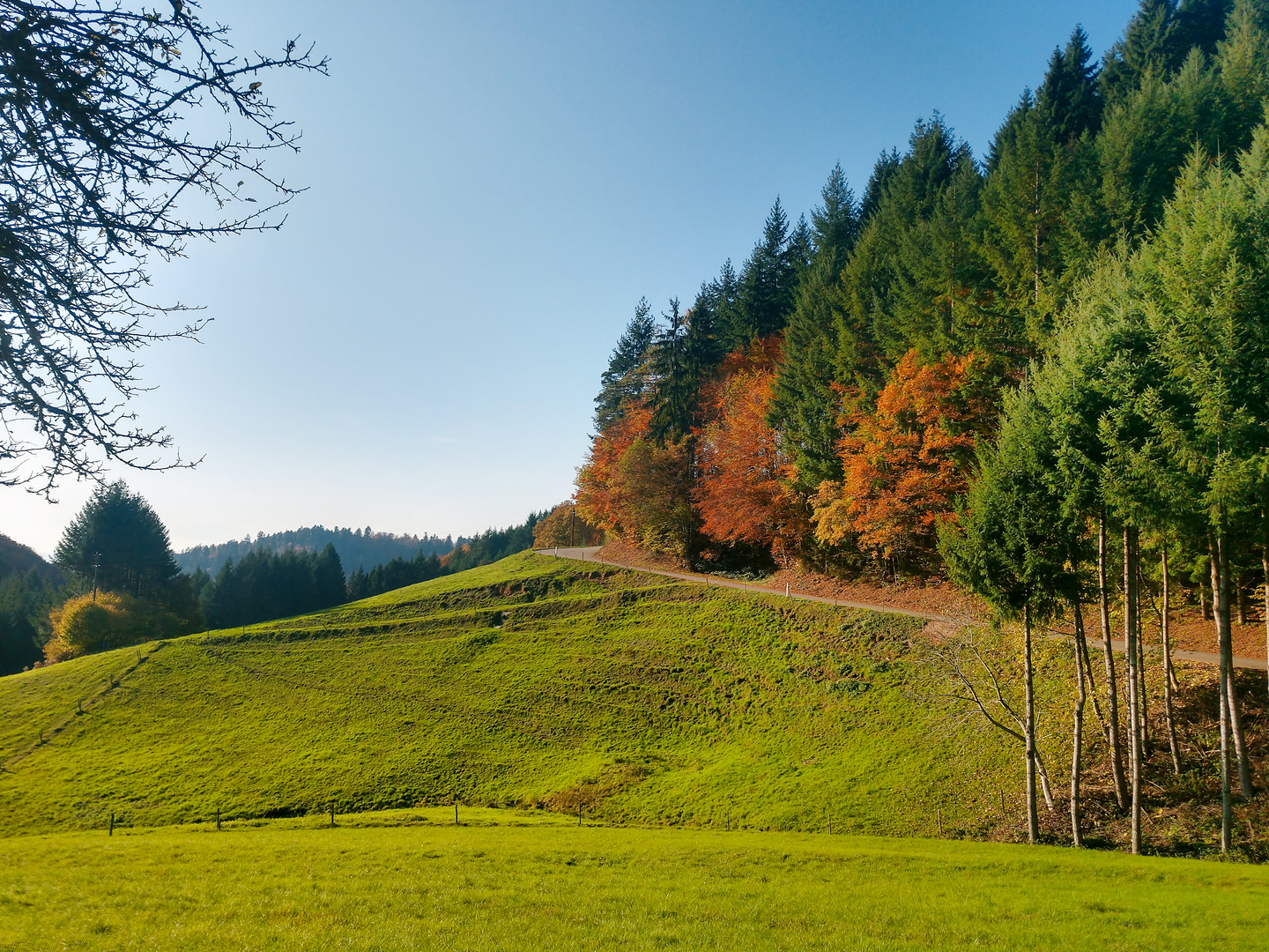 An image depicting the trail Interregio-Wanderweg and its surrounding area.
