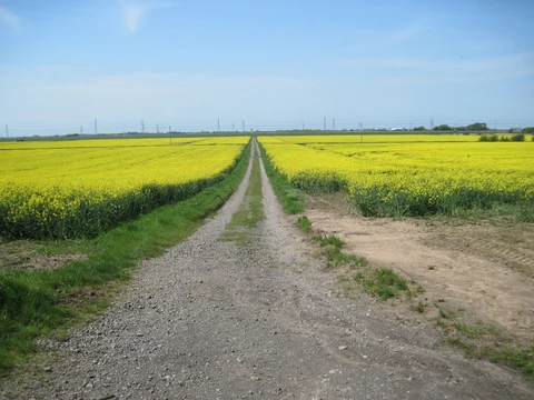 Flixborough and Burton Wood Loop