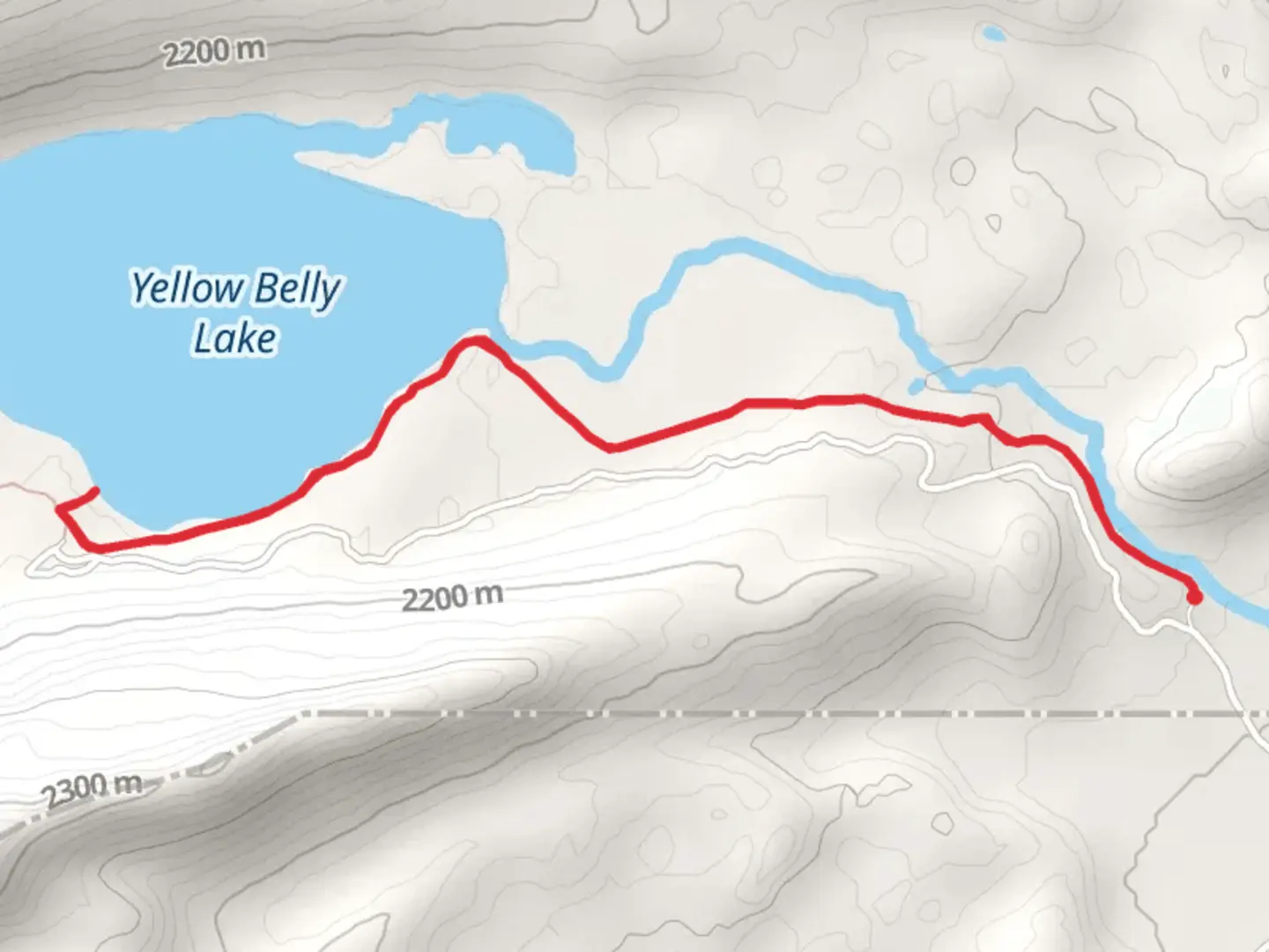 An image depicting the trail Yellow Belly Lake and its surrounding area.