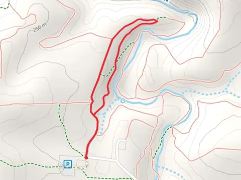 Chinquapin Loop Trail