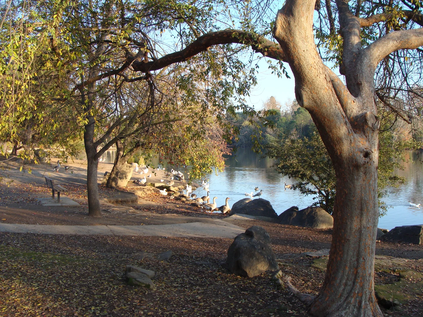 An image depicting the trail Lewis S Eaton Trail and its surrounding area.