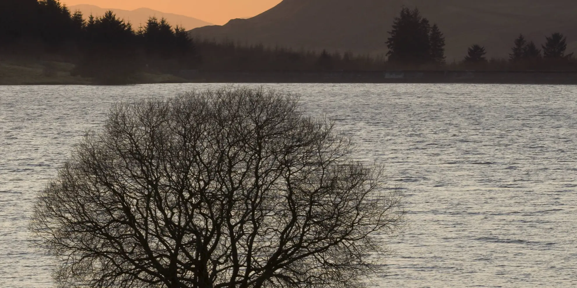 An image depicting the trail Carron Valley Reservoir Shore from Muirmill and its surrounding area.