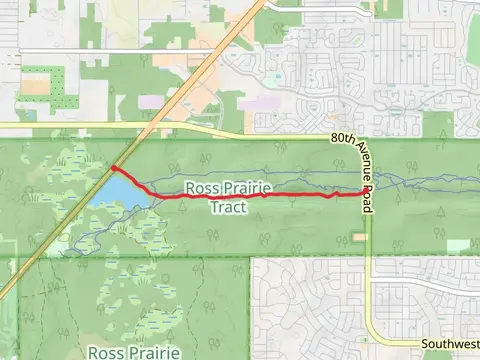 Florida Trail from Ross Prairie