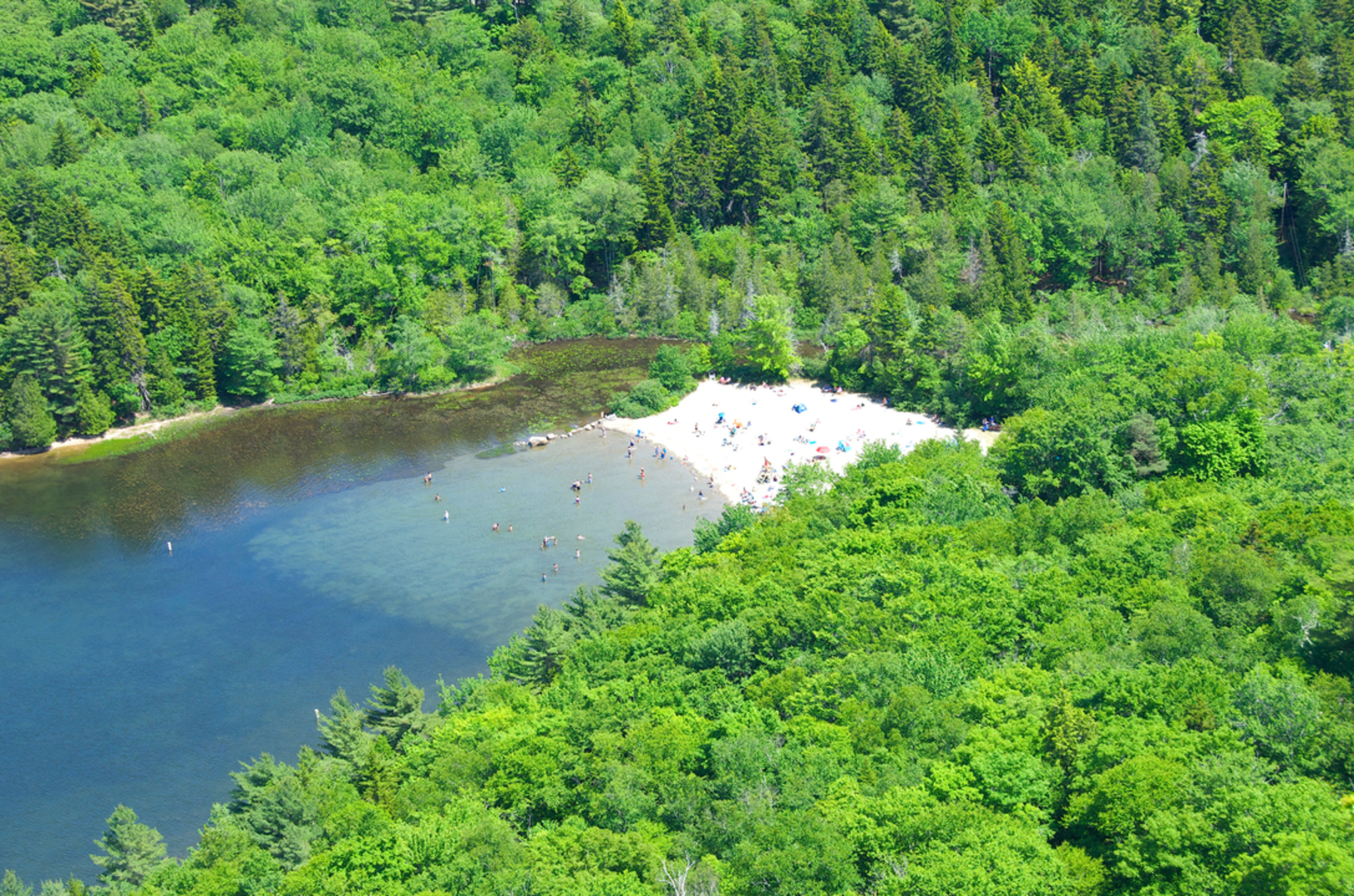 An image depicting the trail Beech Cliff Trail and its surrounding area.