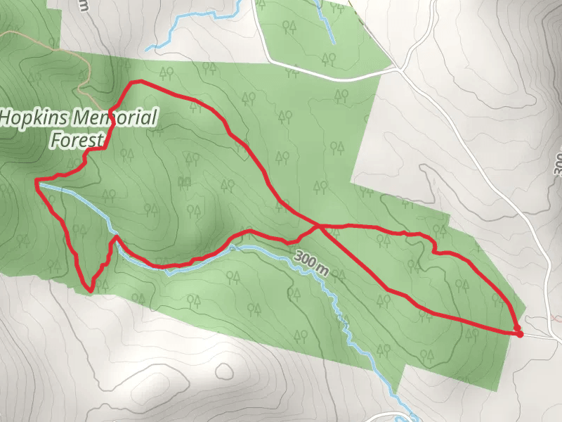 Hopkins Memorial Forest via Birch Brook Trail