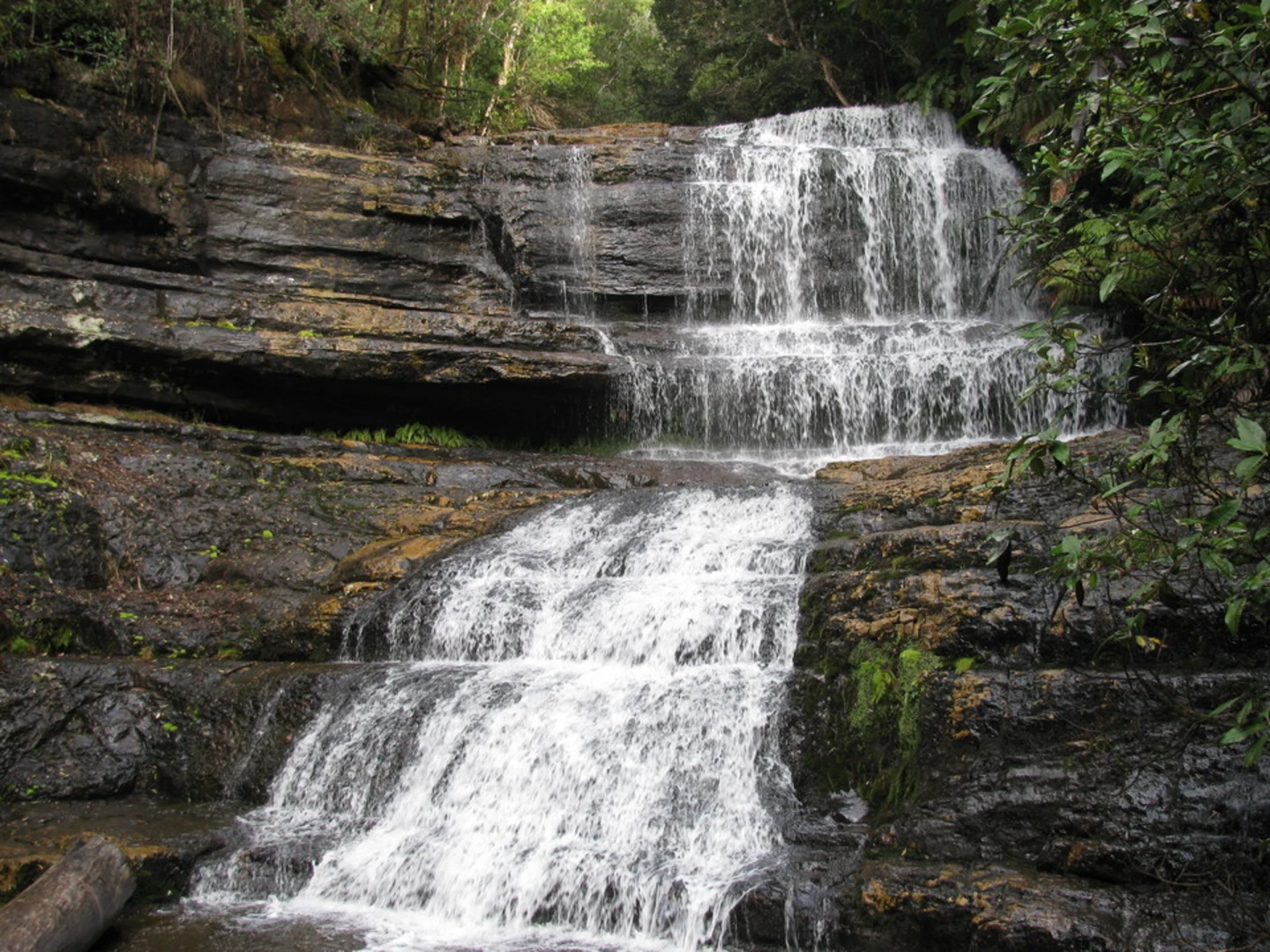 An image depicting the trail Lady Barron Falls Circuit Trail and its surrounding area.