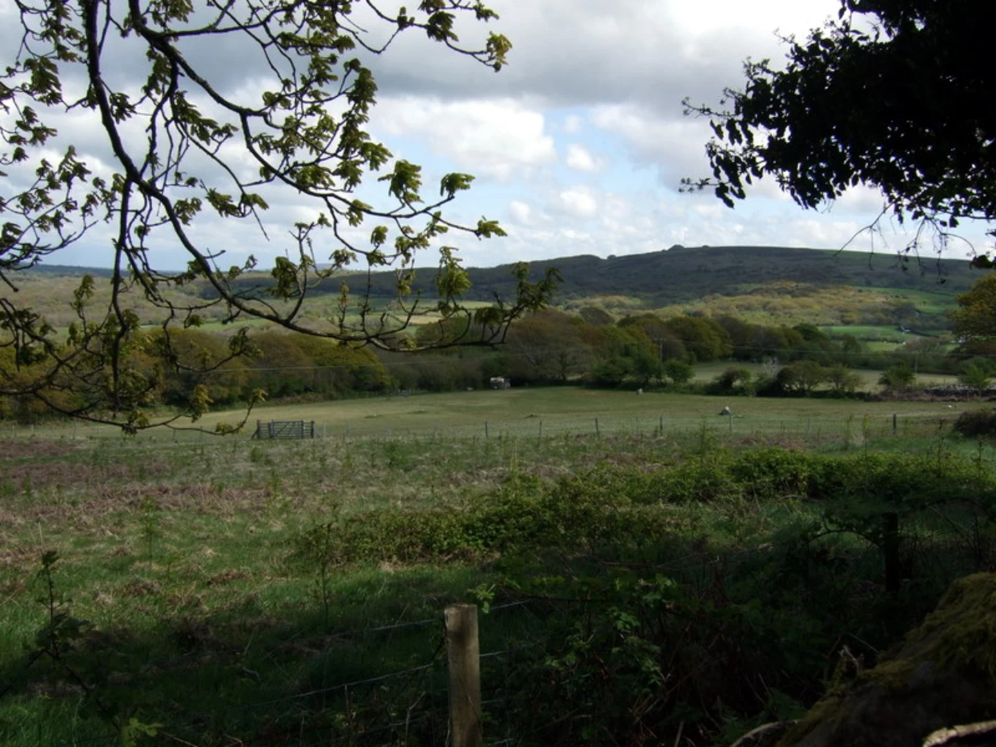 An image depicting the trail Carningli Lower Slopes Trail and its surrounding area.