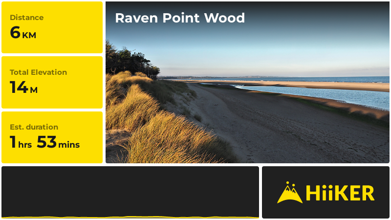 Raven Point Wood | County Wexford | Ireland