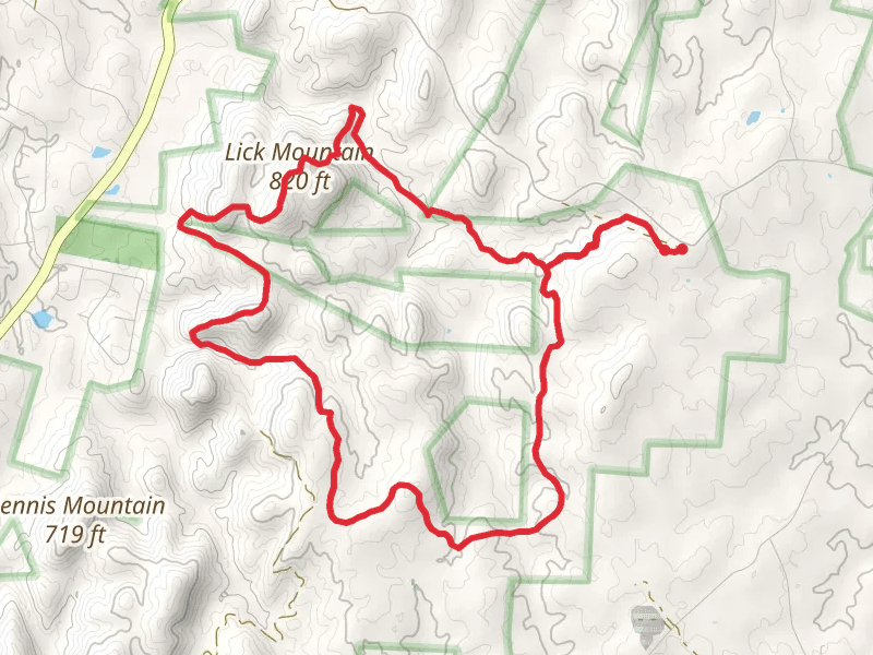 Uwharrie, Lick Mountain and Dutchman's Creek Loop Trail