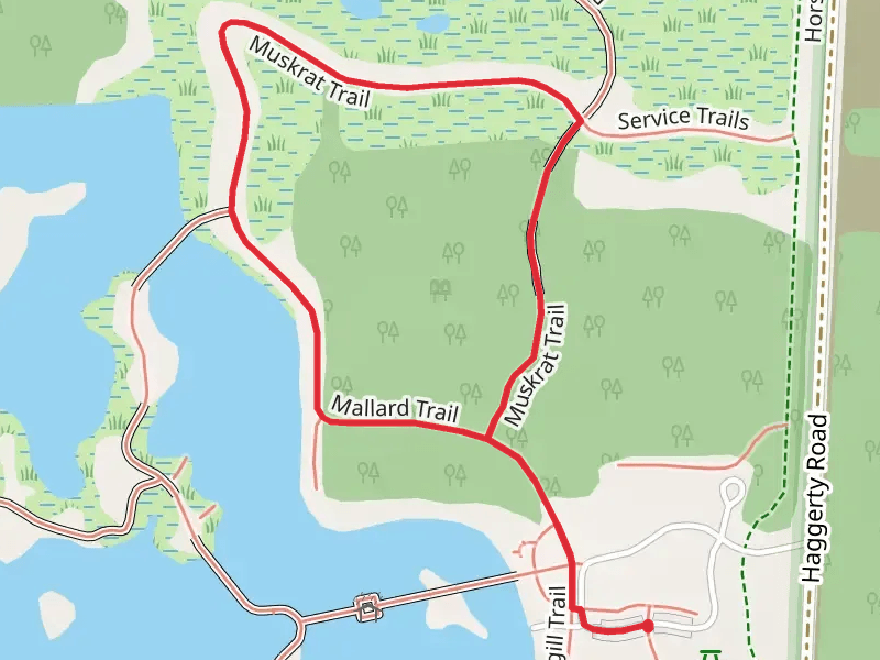 Muskrat Loop Trail