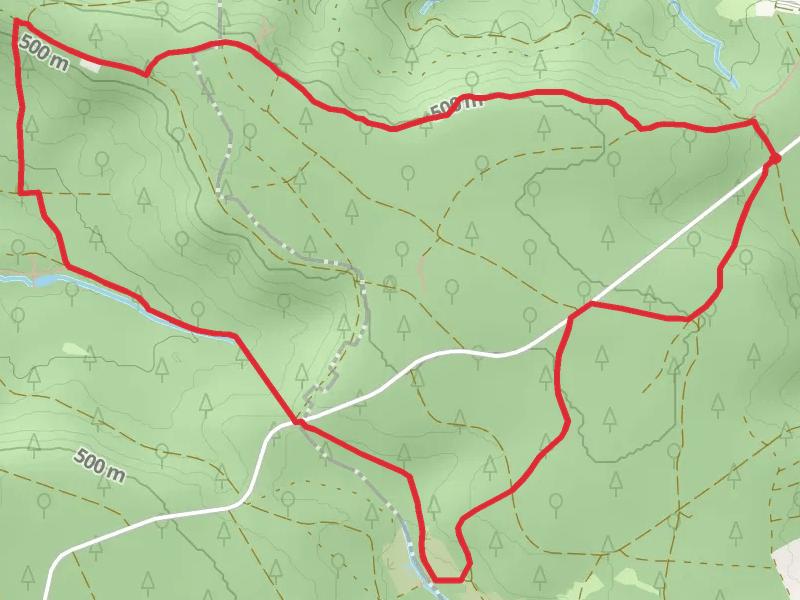 Kohlplatte and Heimatsee Loop