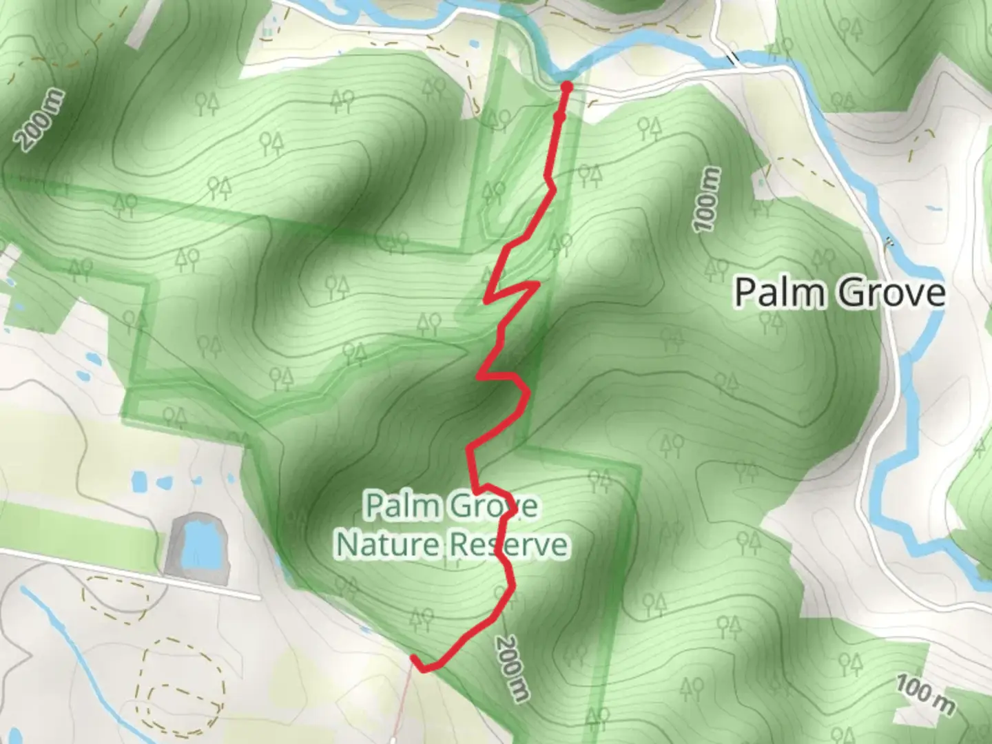 An image depicting the trail Great North Walk – Palm Grove Nature Reserve and its surrounding area.
