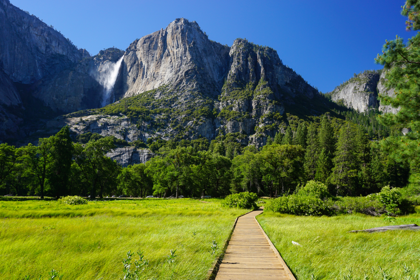 An image depicting the trail Sentinel - Cook's Meadow Loop Trail and its surrounding area.