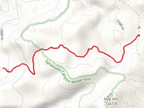 Dorsey Spring Trail