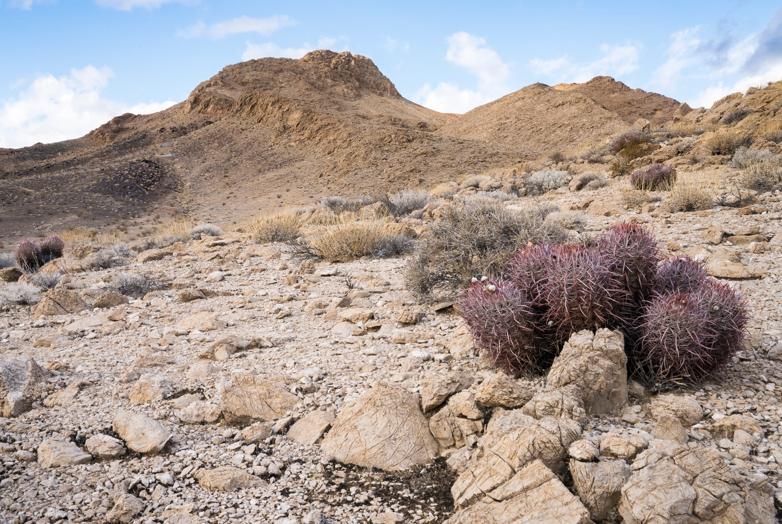 An image depicting the trail Pumpkin Point and its surrounding area.