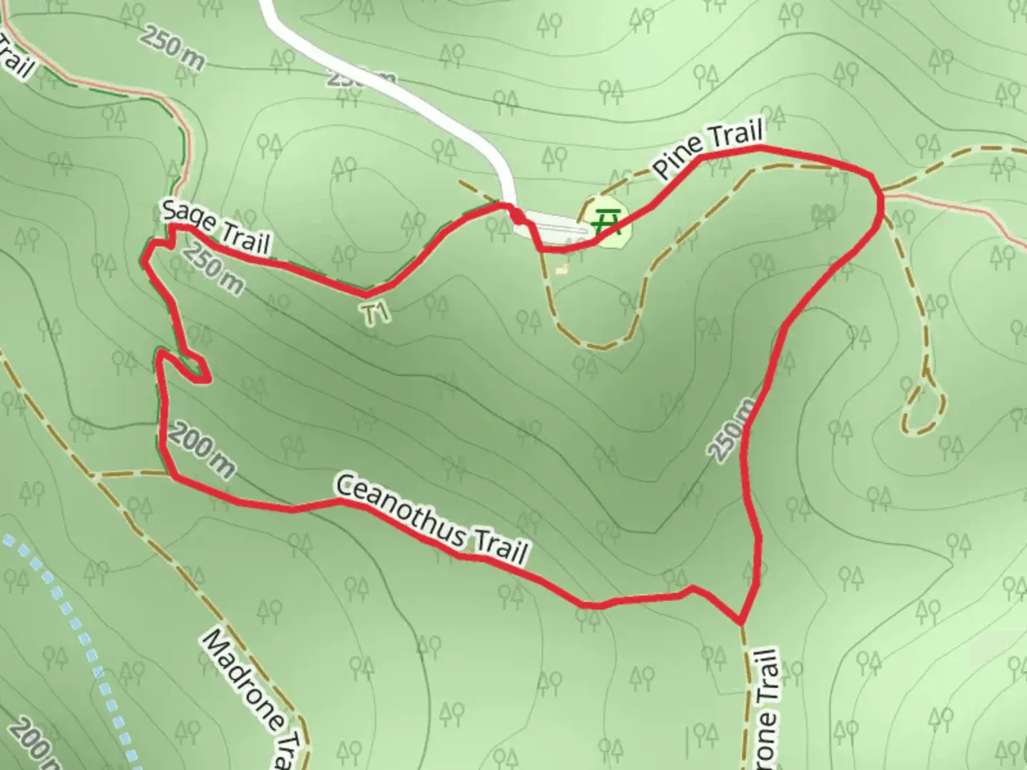 An image depicting the trail Sage, Ceanothus and Madrone Loop Trail and its surrounding area.