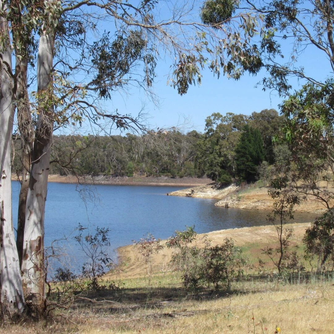 An image depicting the trail Peninsula Loop and South Para Reservoir and its surrounding area.