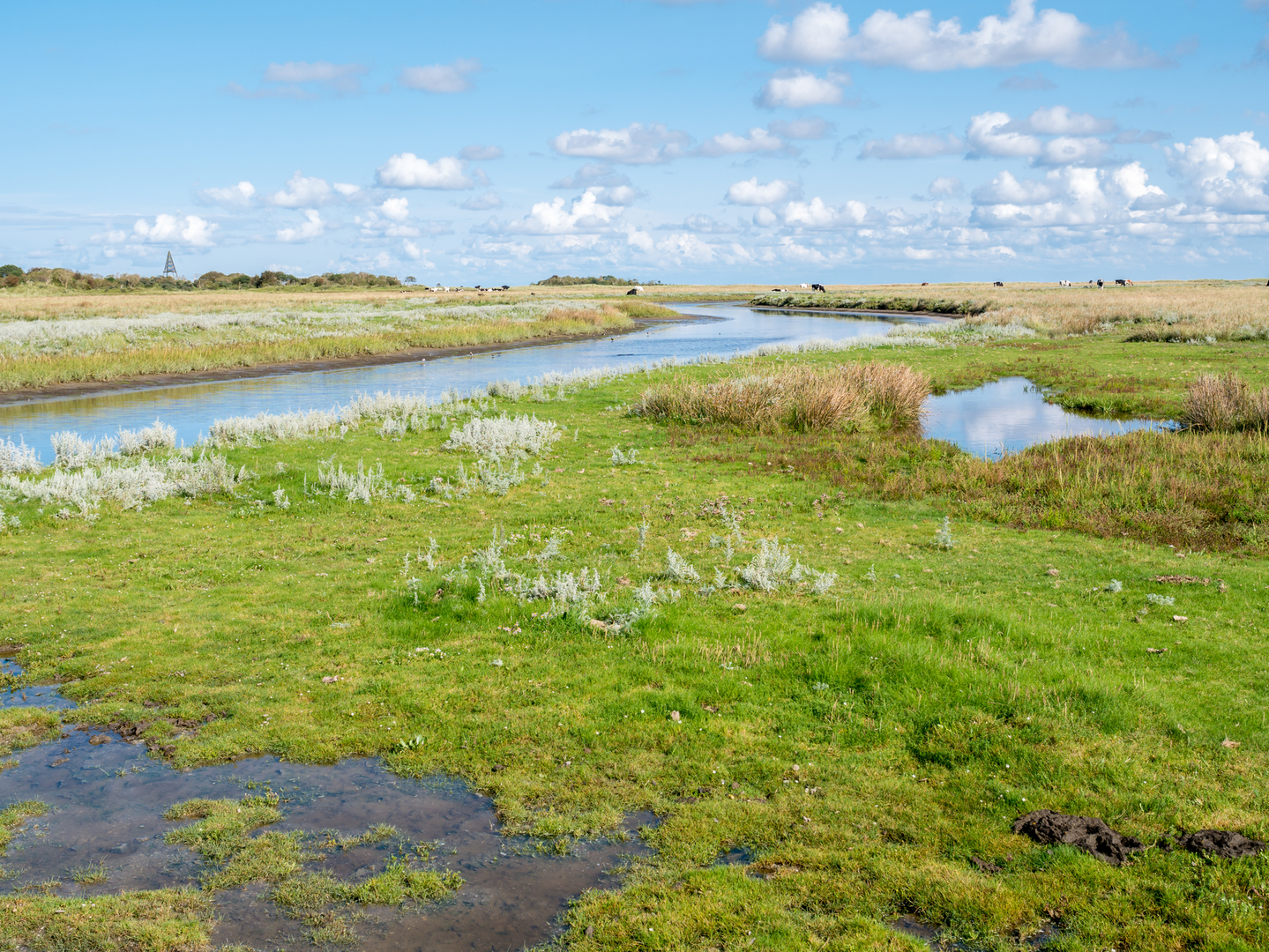 An image depicting the trail Schiermonnikoog and Waterstaatspad Loop and its surrounding area.