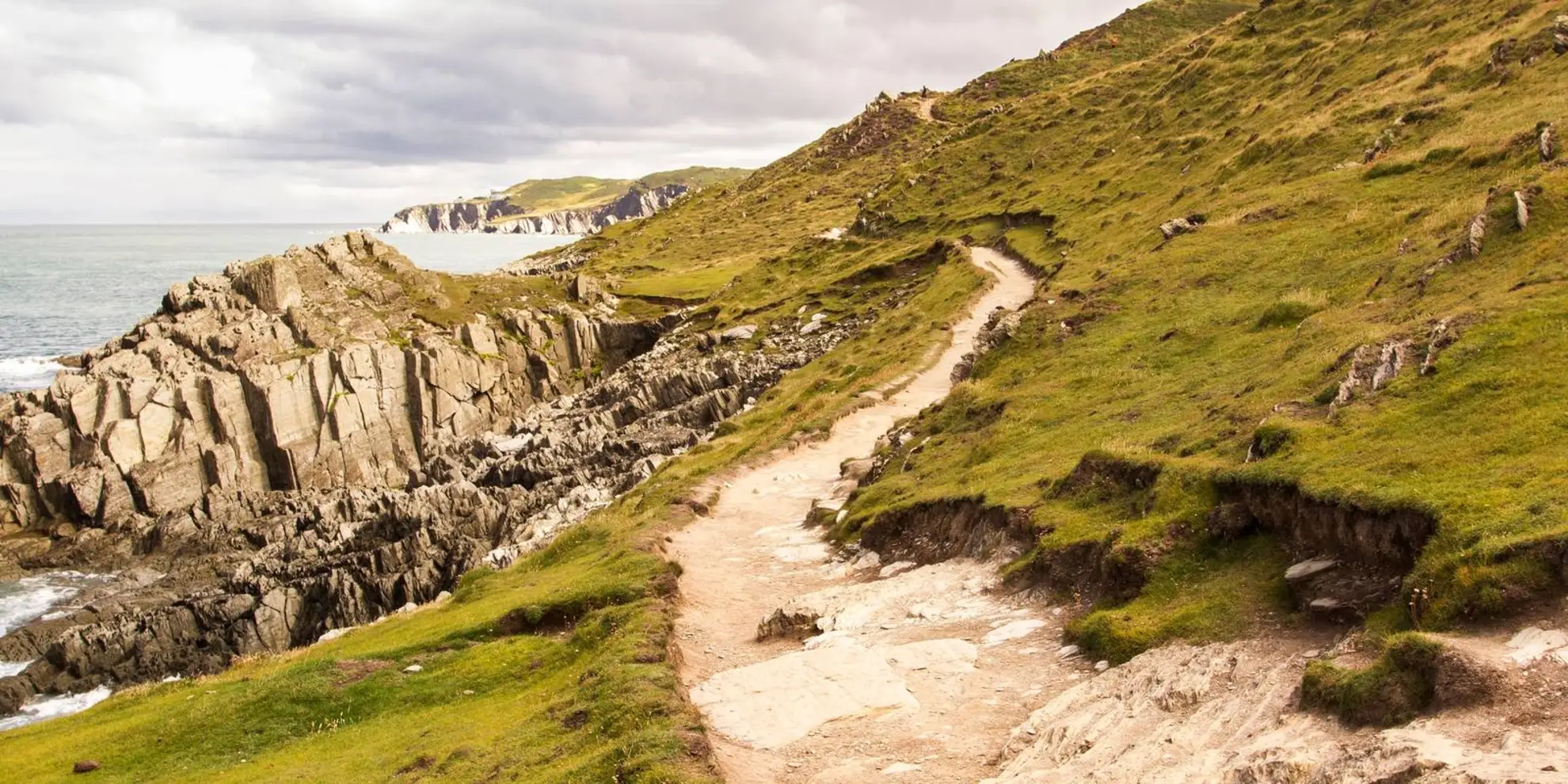 An image depicting the trail Morte Point Walk - Seals and Smugglers and its surrounding area.