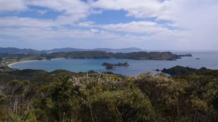 Whangaruru North Head - Northern Loop Track