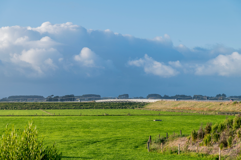 Foxton Manawatu River Walk
