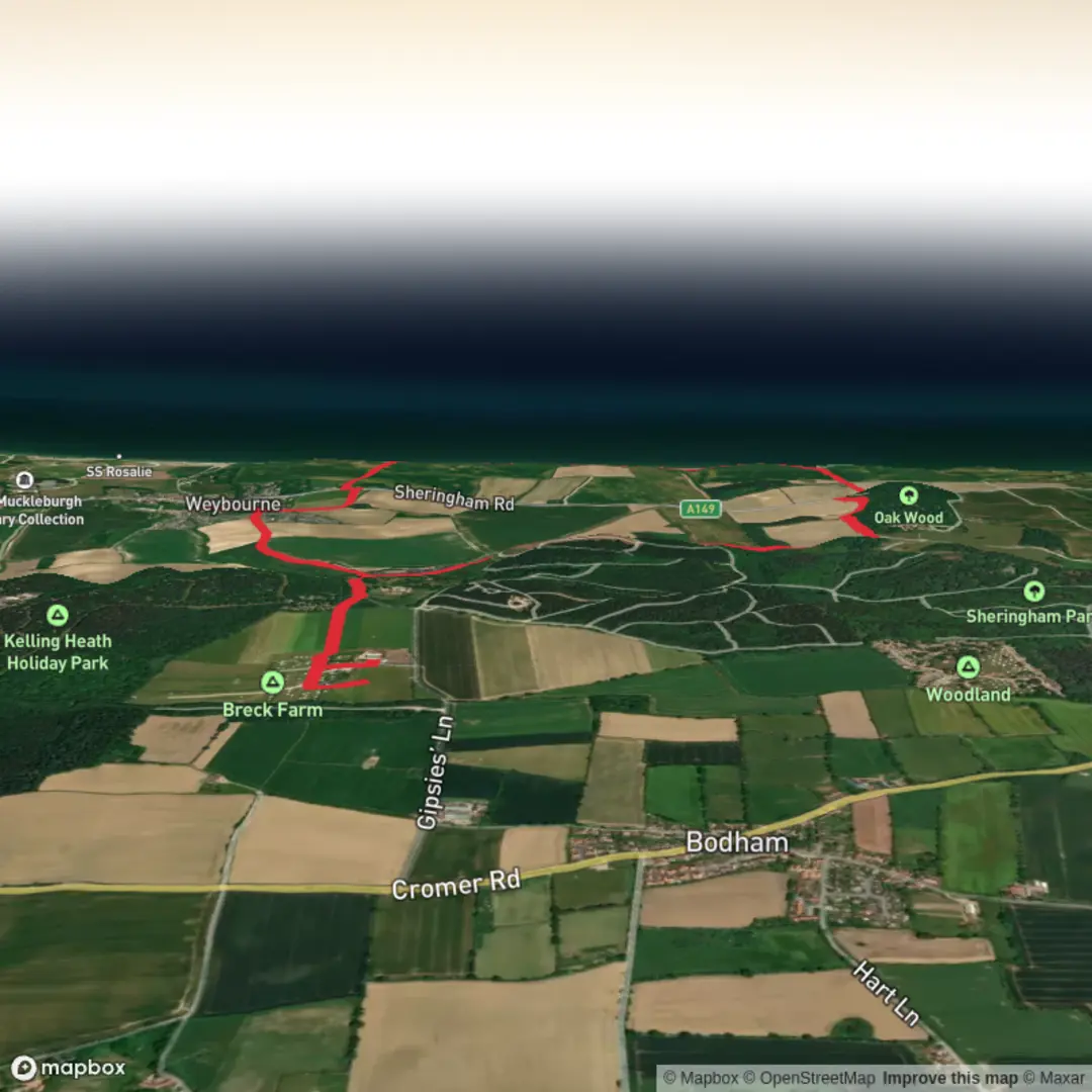 An image depicting the trail Cracking Hill, Oak Wood and Fox Hill Loop and its surrounding area.