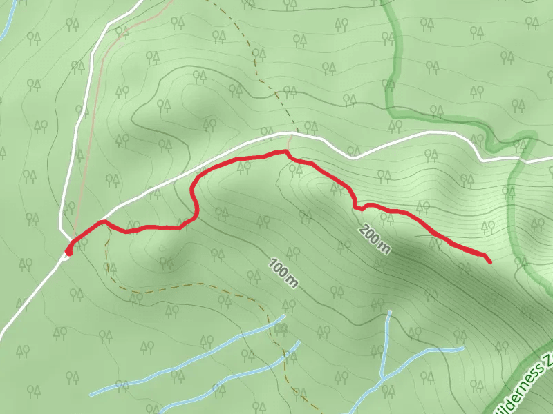 Vereker Outlook Walk
