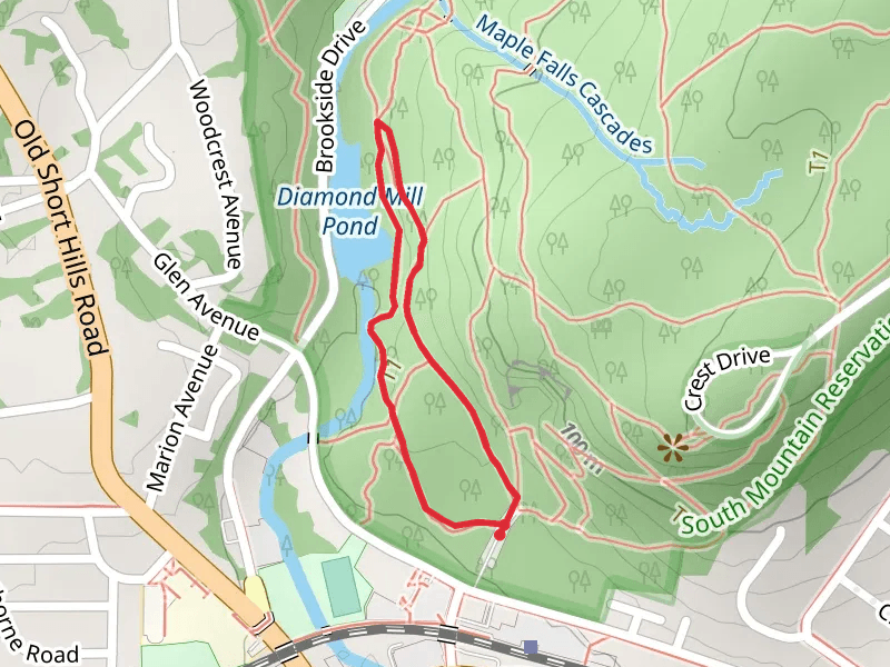Maple Falls and Rahway Loop Trail