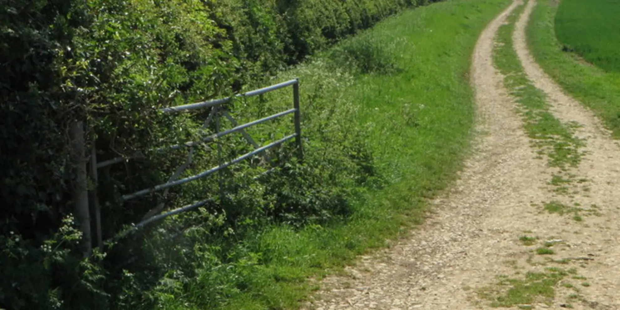An image depicting the trail Chackmore Circular and its surrounding area.