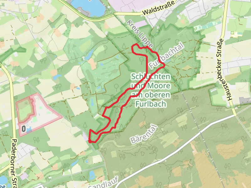 Schluchten und Moore am oberen Furlbach Loop via Romantisches Furlbachtal