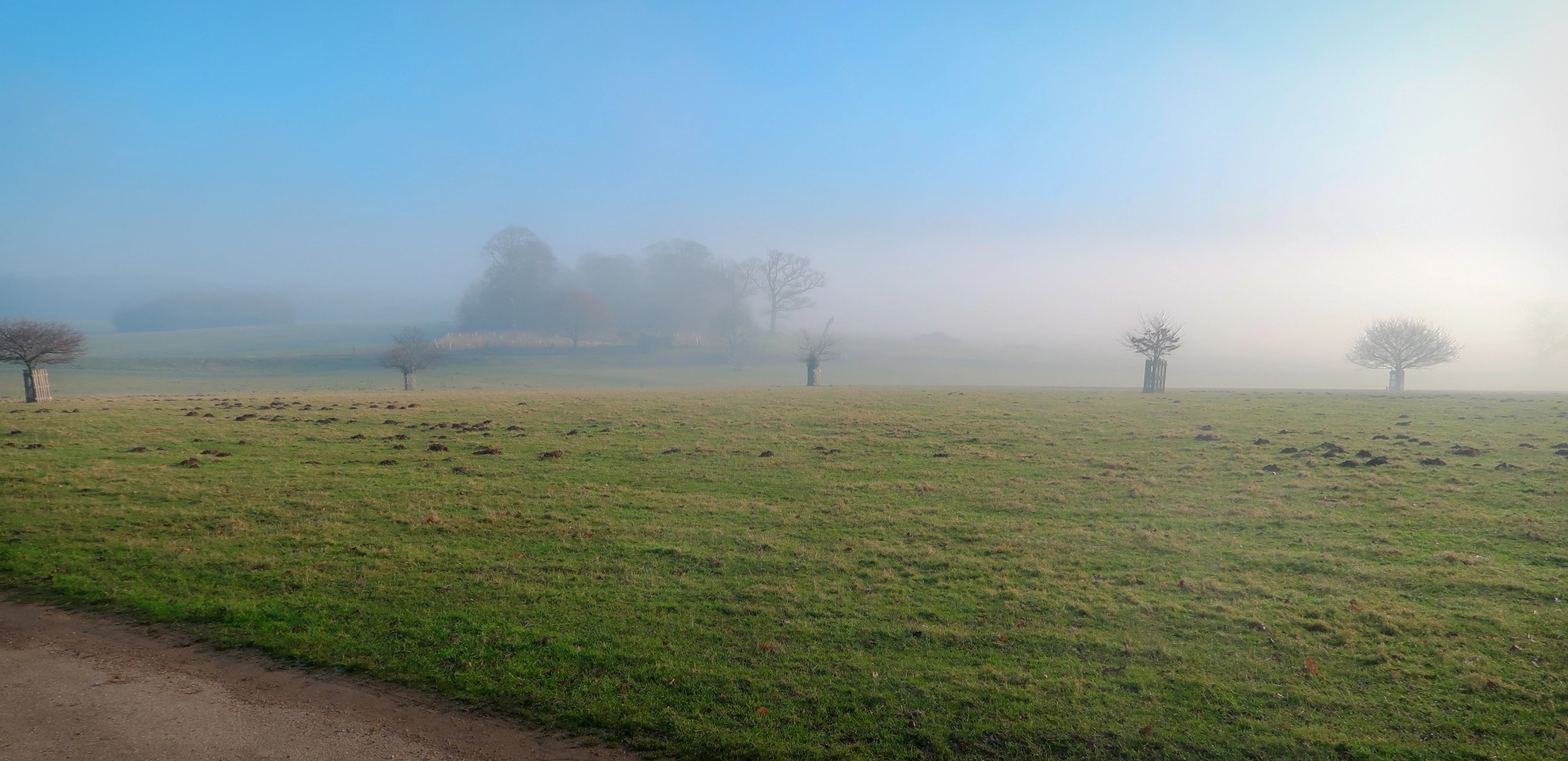 An image depicting the trail Norfolk Mountain Walk - Felbrigg Estate and its surrounding area.
