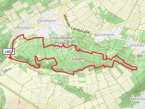 Aulheimer Tälchen, Oswaldhohe and Sedanplatz Loop