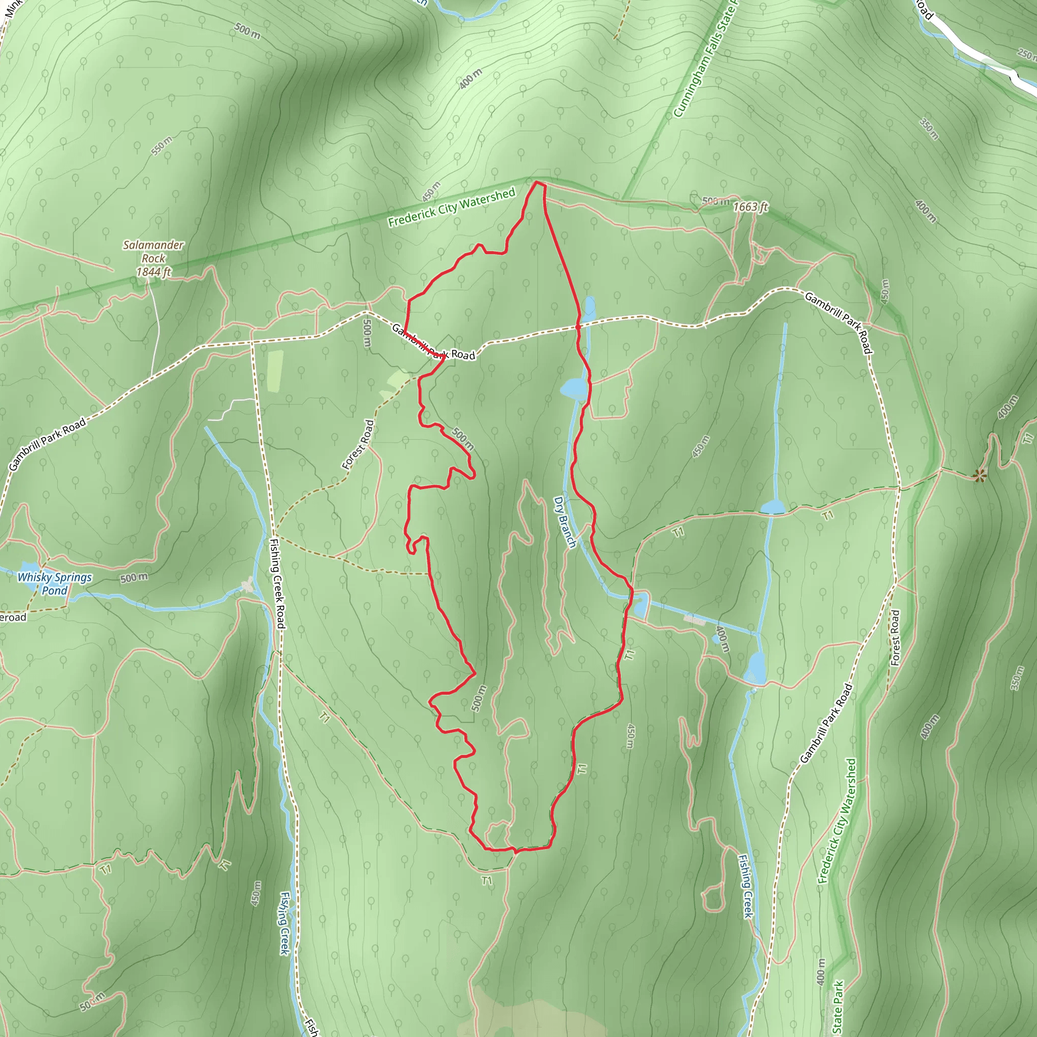 Salamander, Iceburg and Salamander Loop Trail mobile static map
