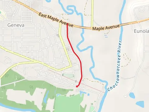 Geneva Levee