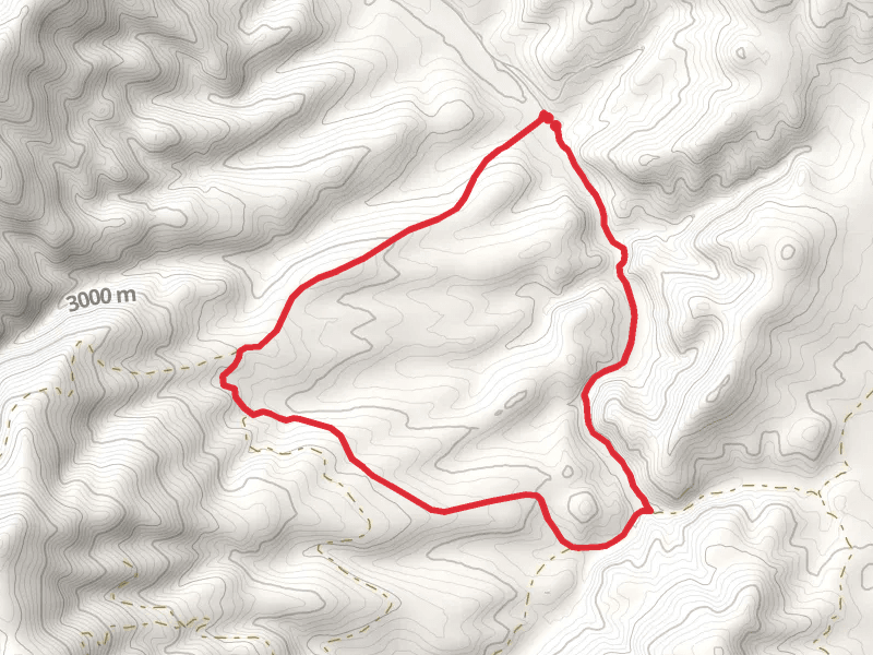 Foreman Creek and Bitter Creek Road Loop