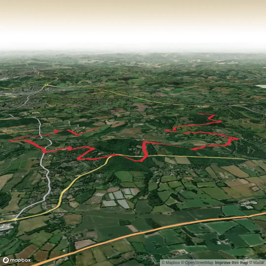An image depicting the trail Shingle Hill, Rooks Hill and Styants Wood Loop and its surrounding area.
