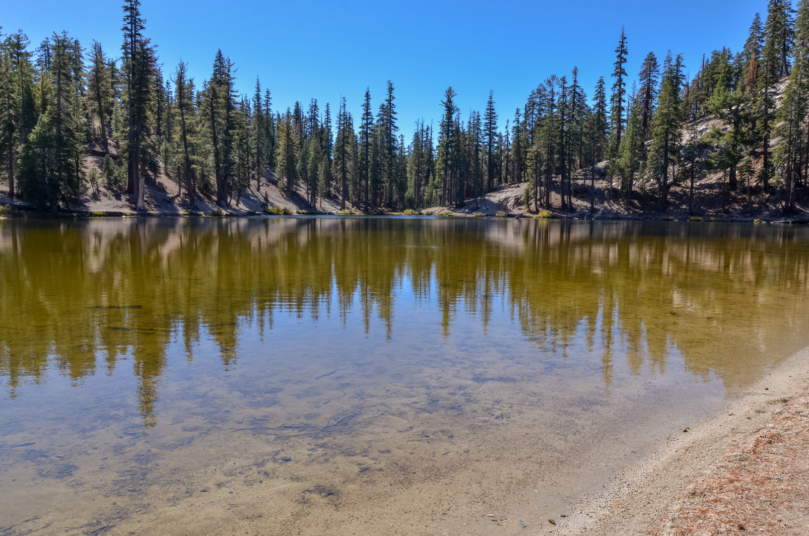 An image depicting the trail Agnew Meadows to Devils Postpile and its surrounding area.