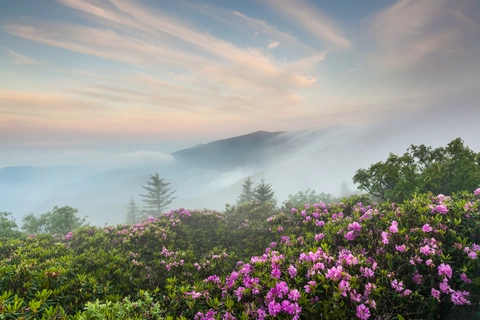 Roan Mountain Gardens National Recreation Trail