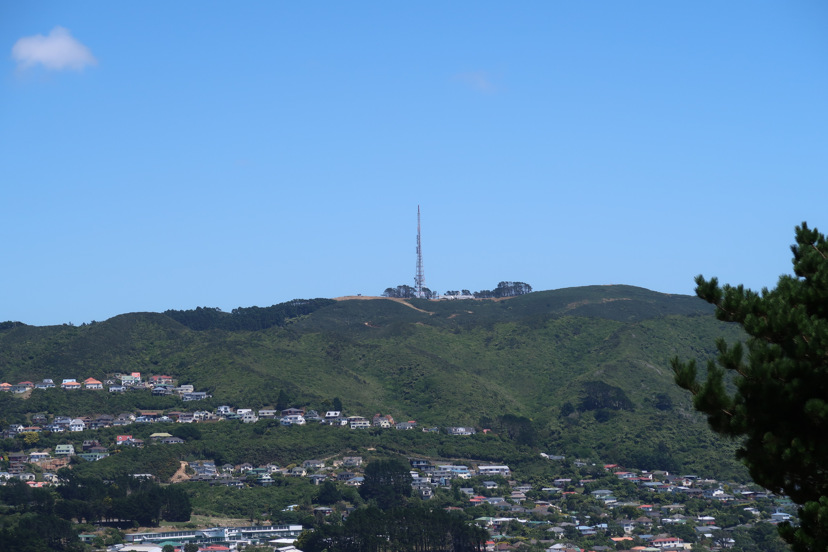 An image depicting the trail Mount Kaukau Summit Loop and its surrounding area.