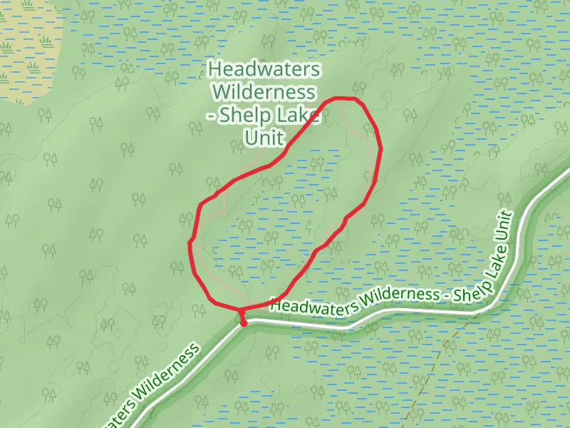 Giant Pine Trail