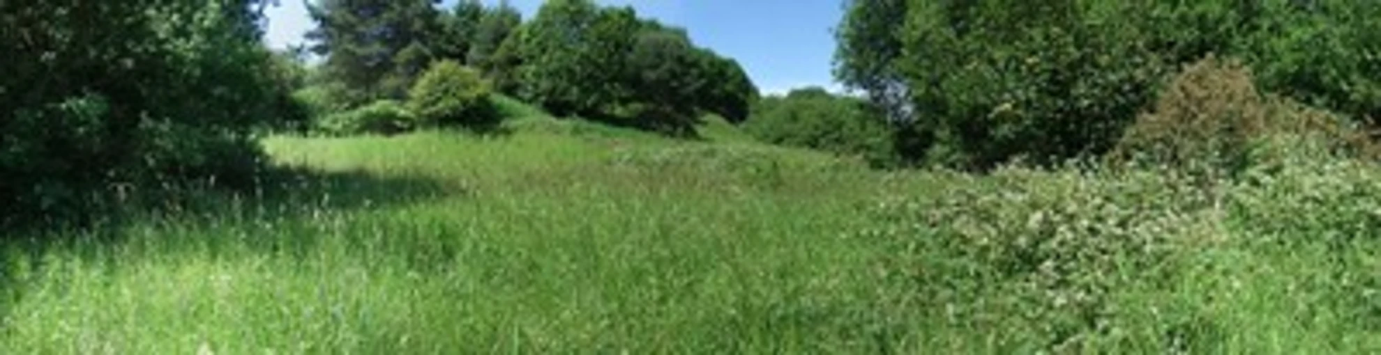 An image depicting the trail Hartshill Park Loop and its surrounding area.
