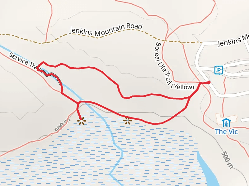 Barnum Brook Trail - Blue Loop