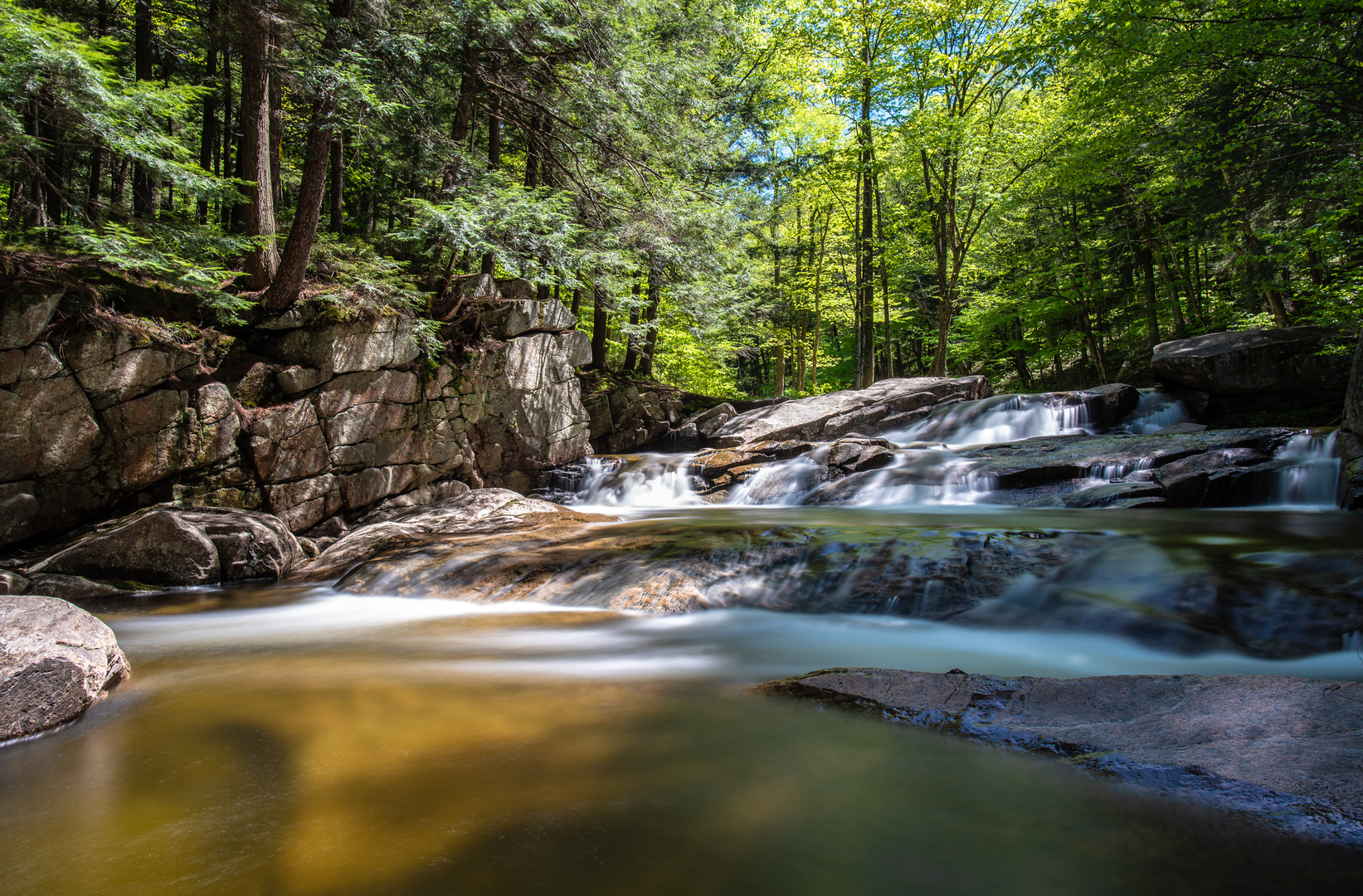 An image depicting the trail Tenant Creek Falls Trail and its surrounding area.